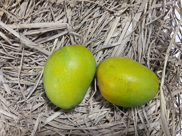Sladké mango na tisíc způsobů